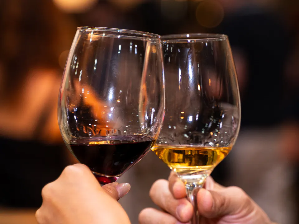 Vino e gusto dal Portogallo in AABB Leblon / Lagoa