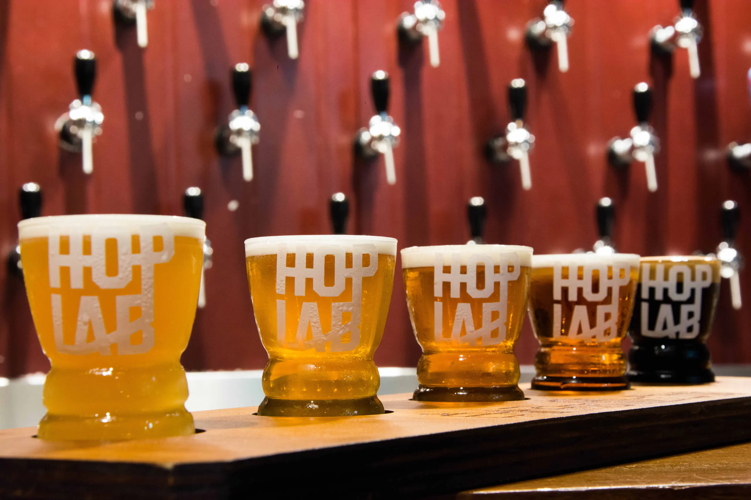Fileira de vasos de chope con la marca Hop Lab sobre el mostrador, delante de grifos de chope en pared roja