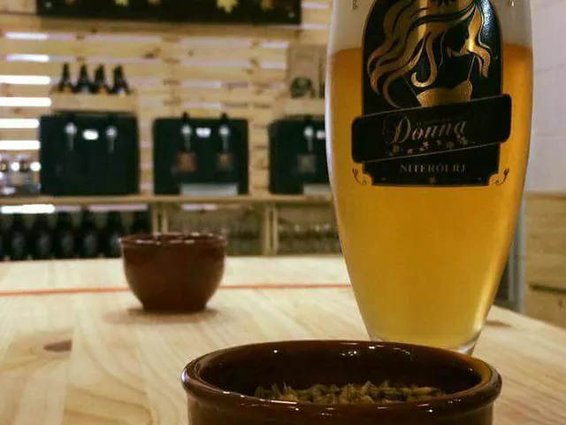Artisan brewery Donna — photo 2