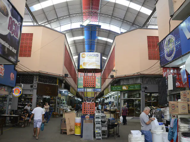 Inside the Municipal Market with central corridor, shops, stacked boxes and frequenters circulating under glass cover