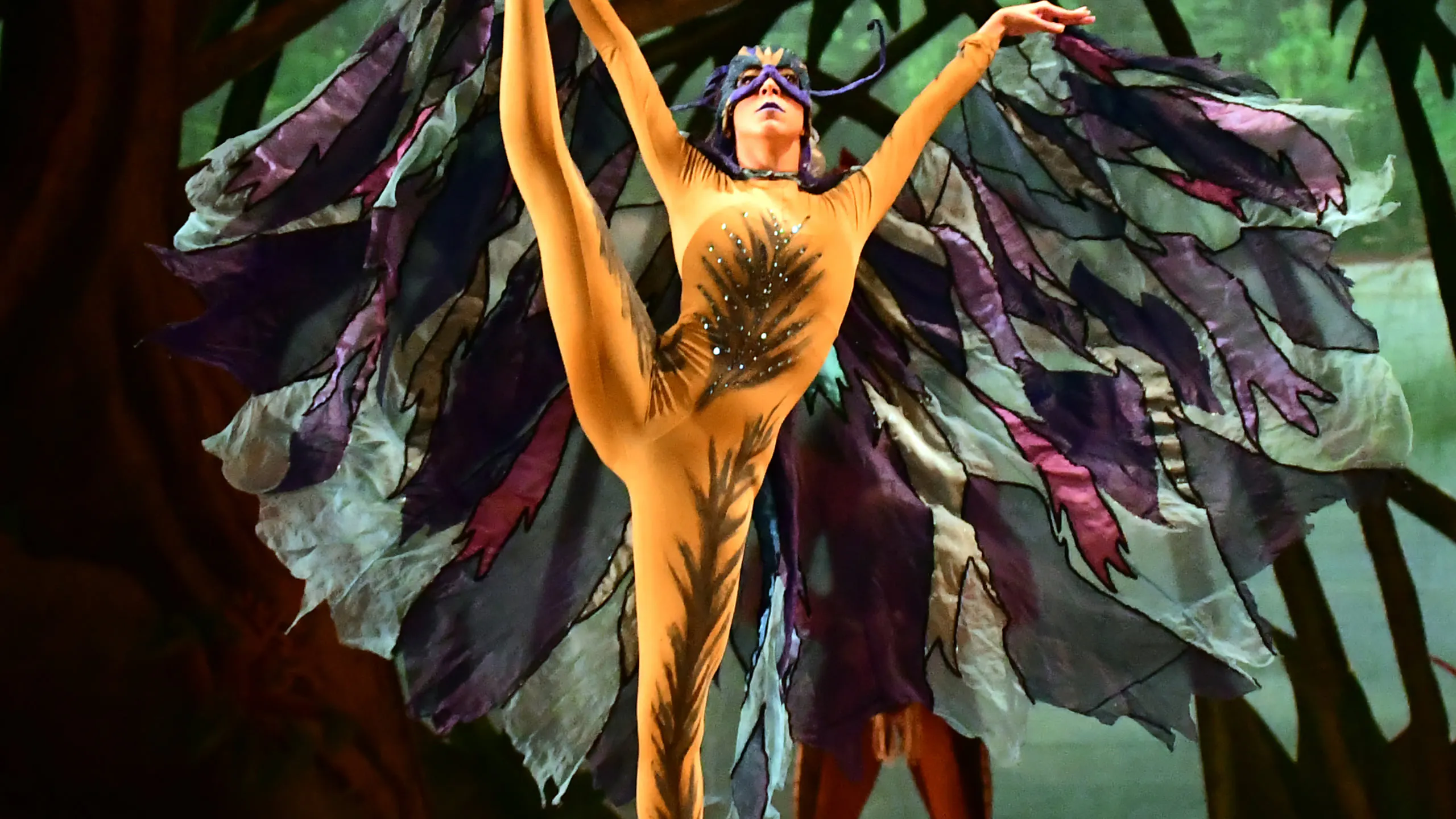 Floresta Amazônica’ - 50 anos, no Theatro Municipal do Rio