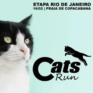 CATS RUN 2025 - Carrera 3KM and 5KM