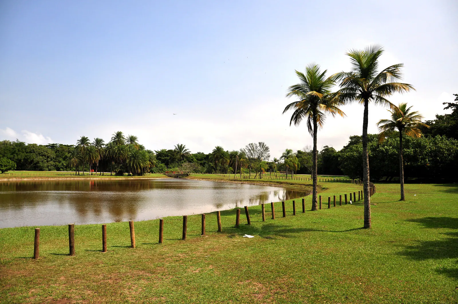 Parque Natural Municipal Bosque da Barra - photo 2