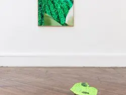 Aktivitäten in der Nähe von Hélio Oiticica