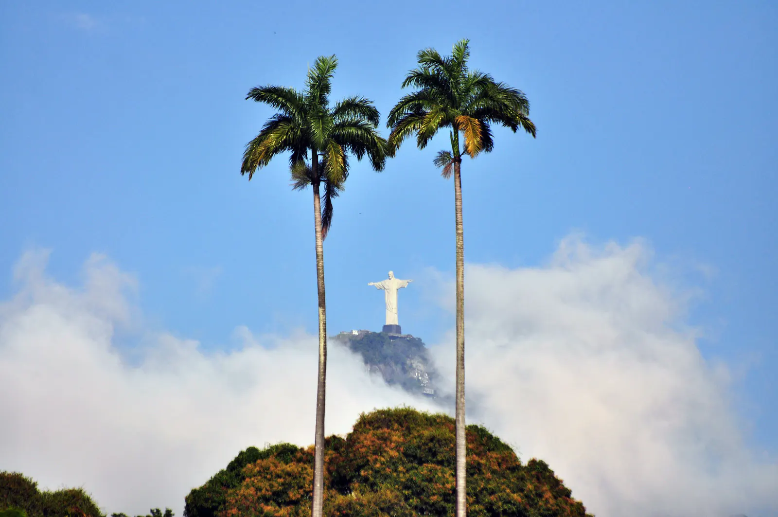 Flamengo Park — Foto 14