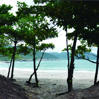 Wild Beaches