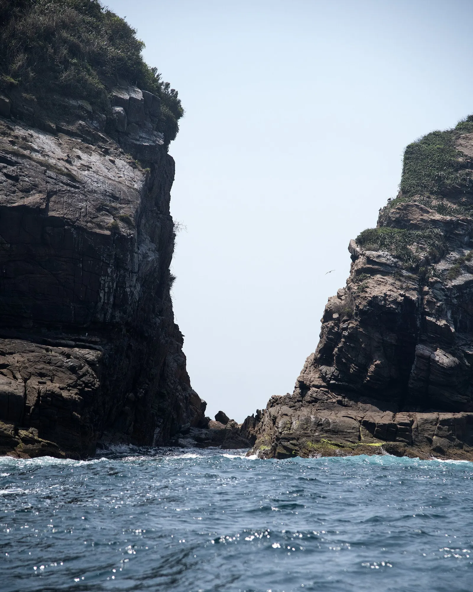 Tijucas Inseln: Ein Naturparadies in Barra da Tijuca — Foto 3