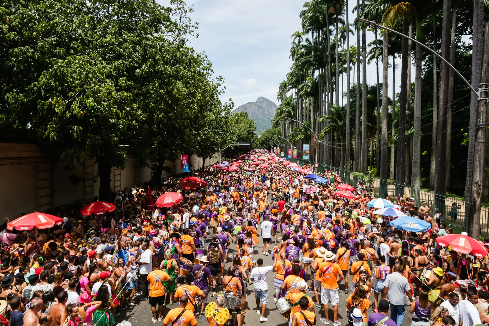 人生の祭典は、民主主義のCarnavalの調子を与えます - 写真10