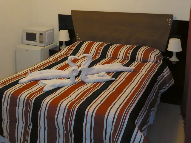 Ace Hostels