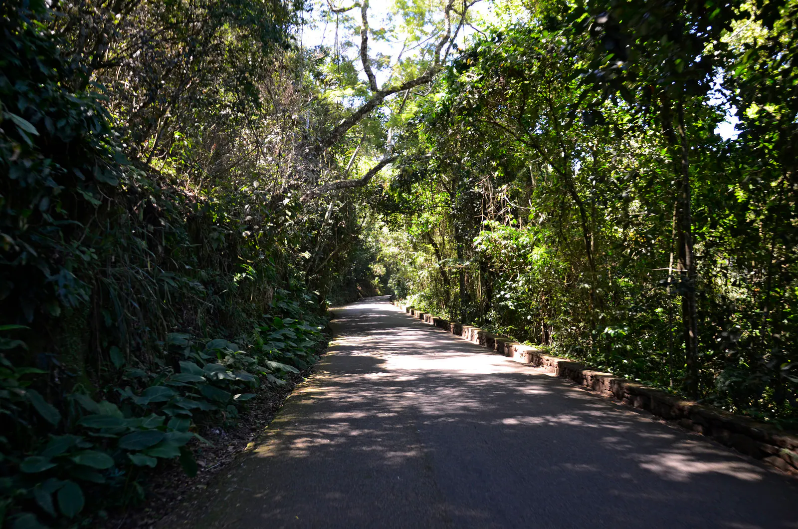 Rio Parks and Trails — photo 4