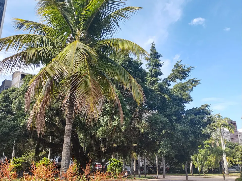 Praça Nossa Senhora da Paz — foto 5