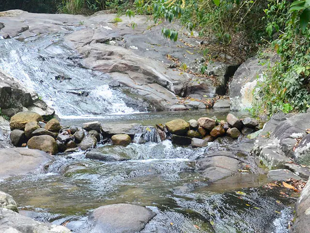 Pedra Branca State Park