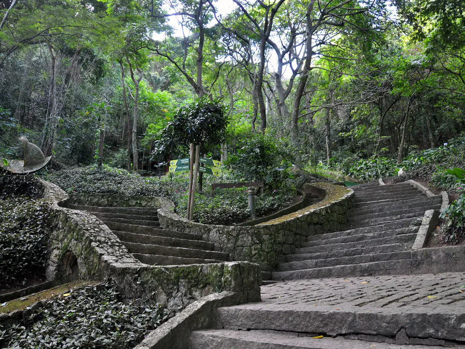 Parque Natural Municipal da Catacumba