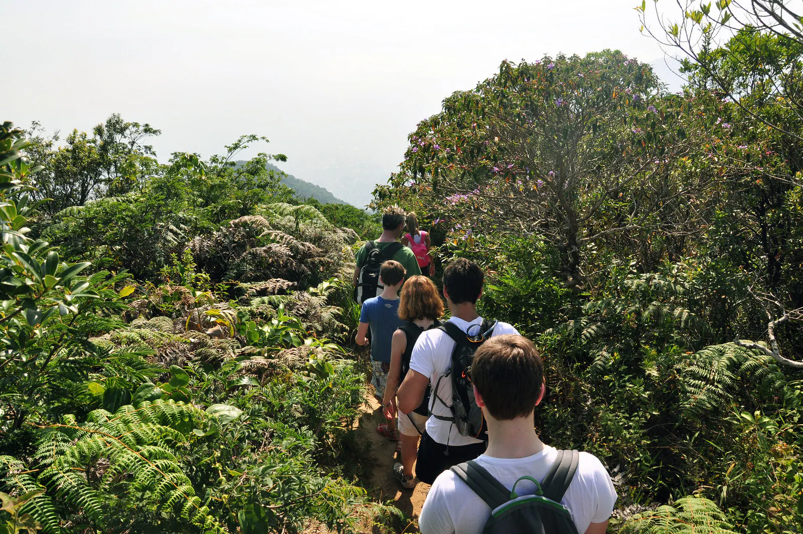 FLORESTA DA TIJUCA — Foto 10