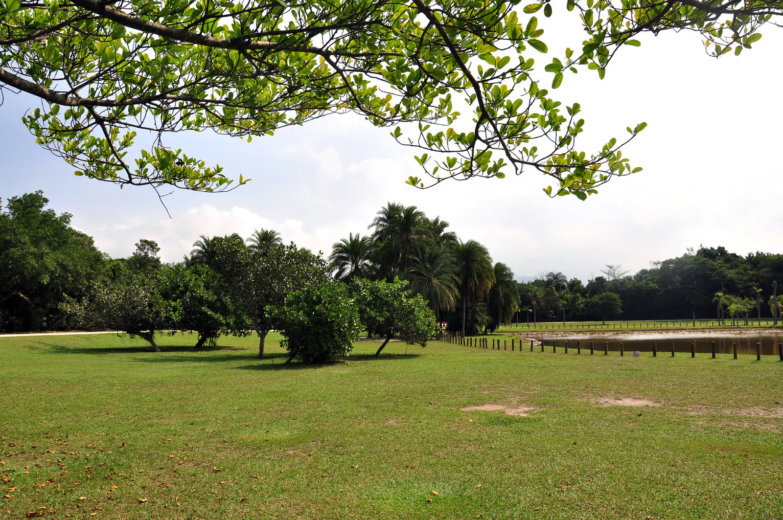 Parque Natural Municipal Bosque de la Barra - photo 27