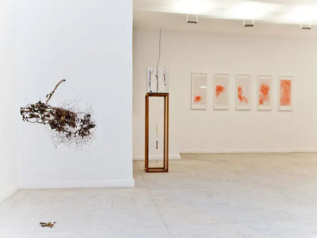 Mercedes Viegas Arte Contemporânea — photo 3