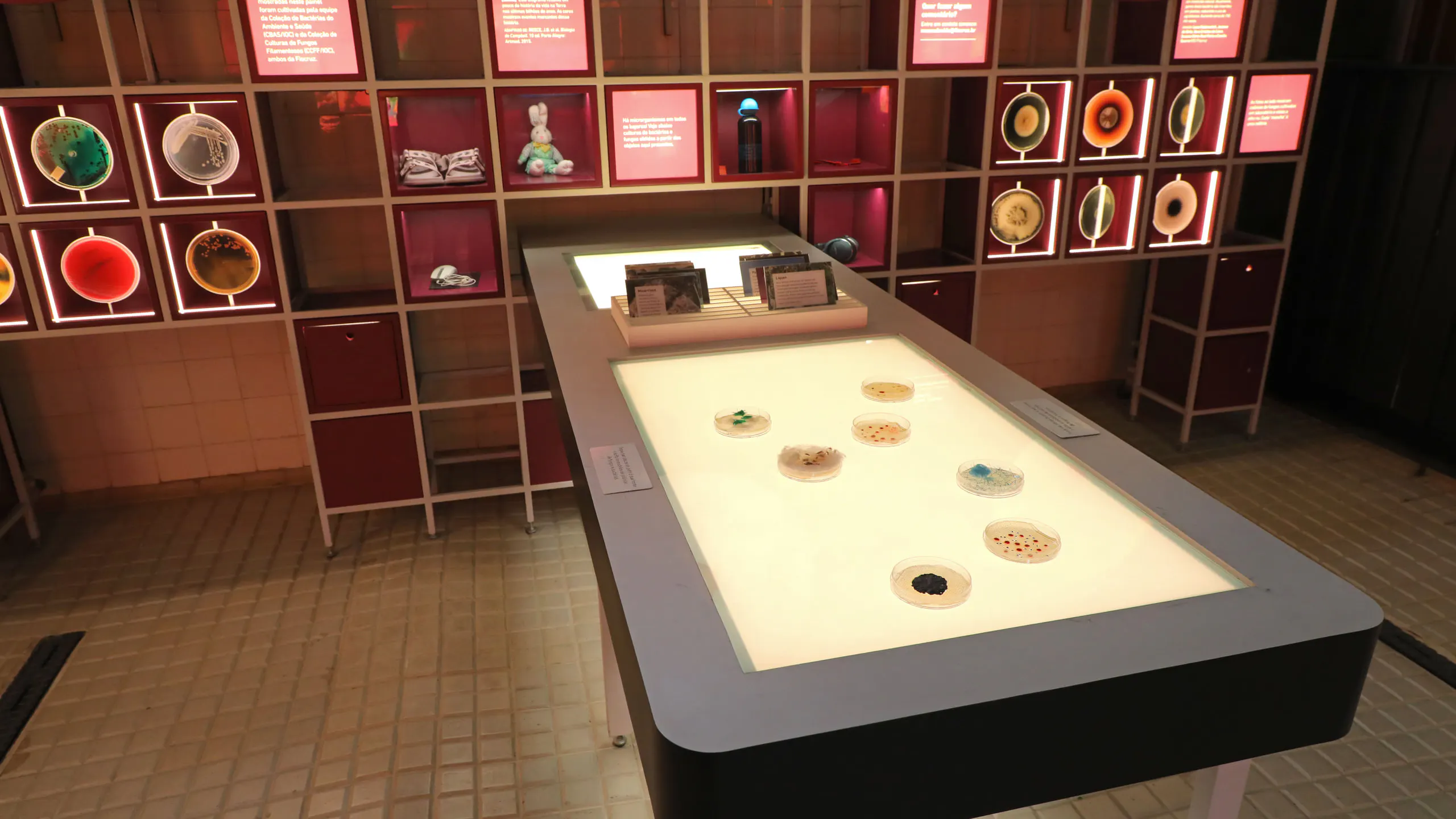 Museo de Vida Fiocruz