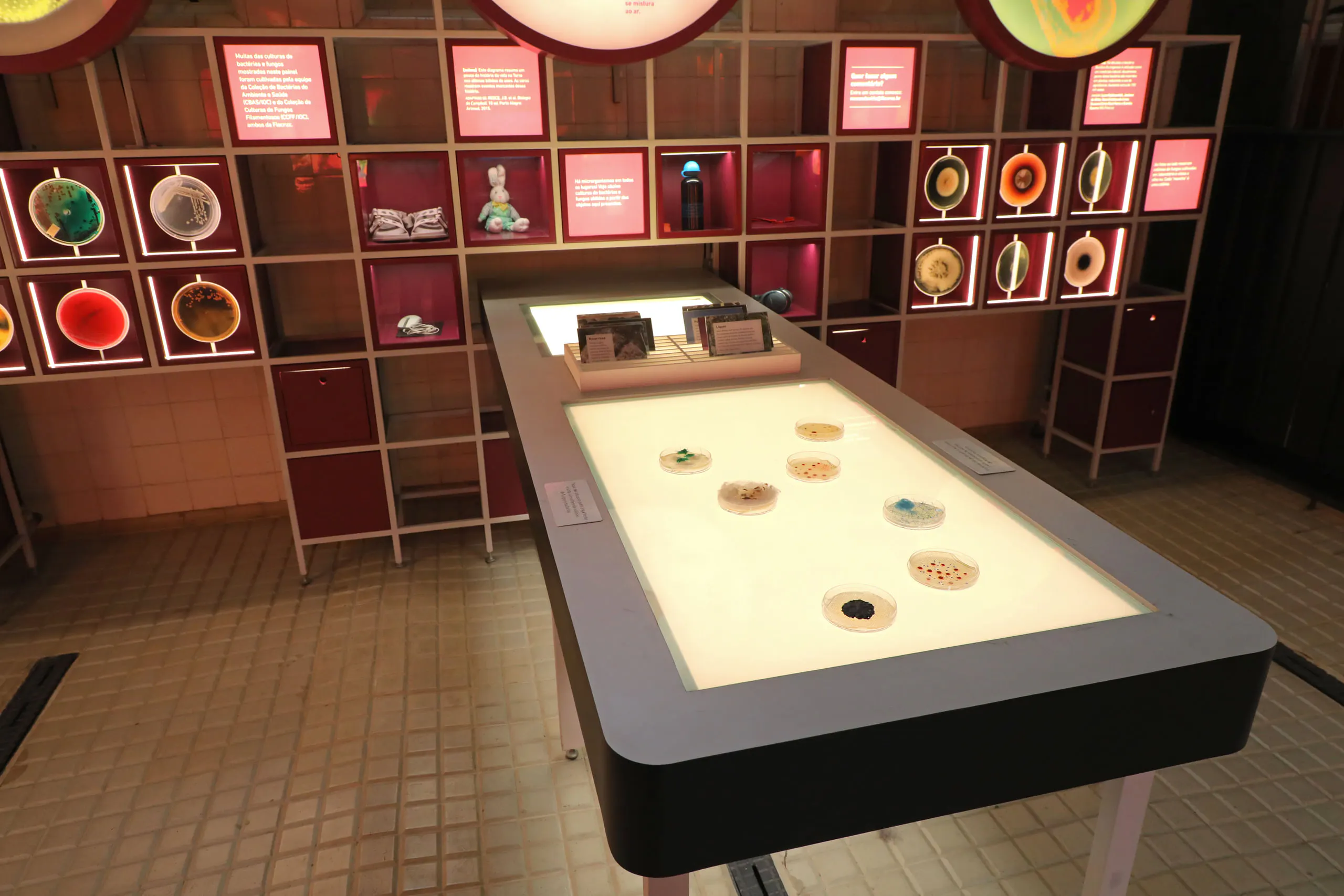 Museo de la Vida Fiocruz — foto 1