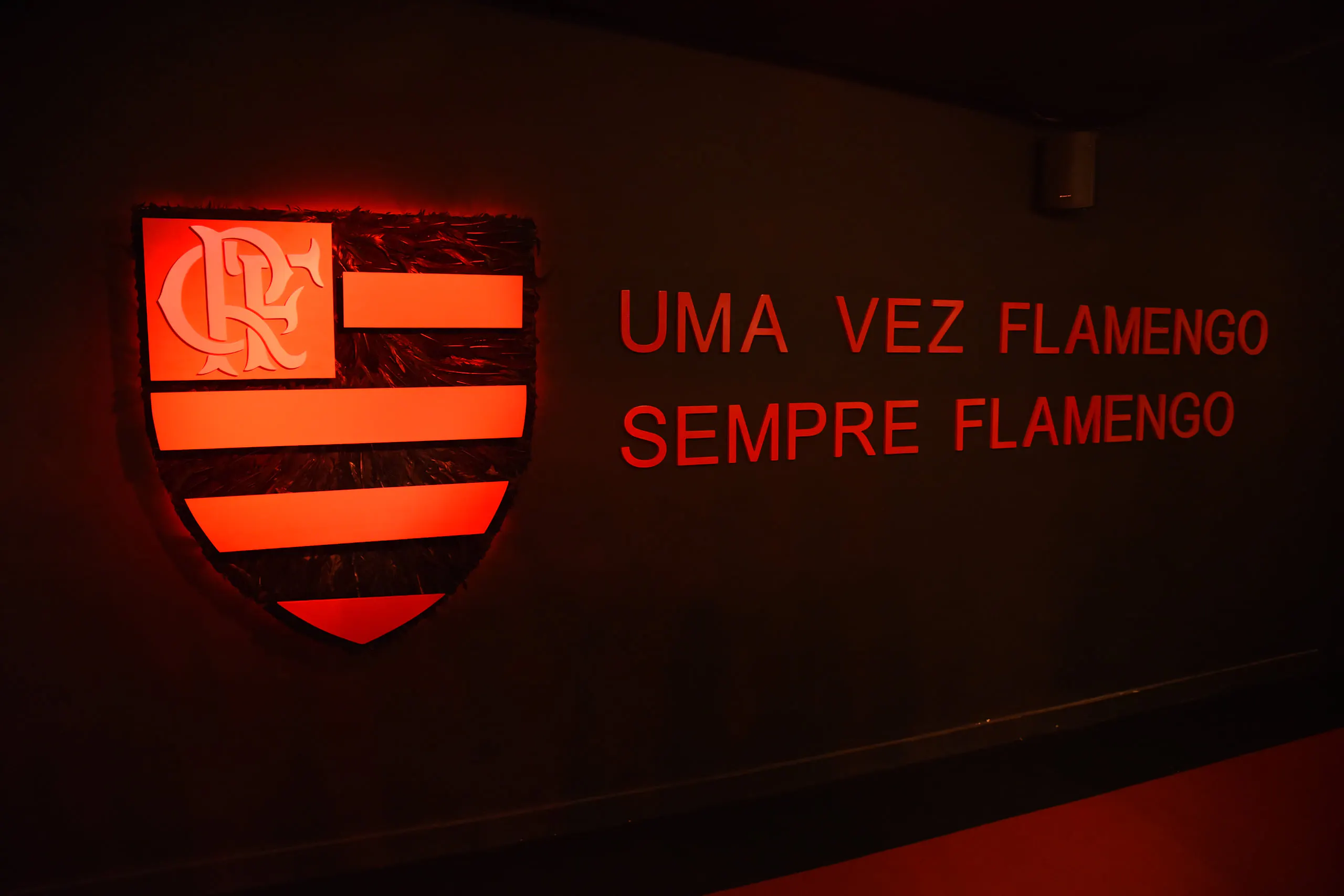 Museum Flamengo — photo 3
