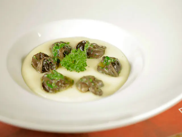 Borgogne scargot