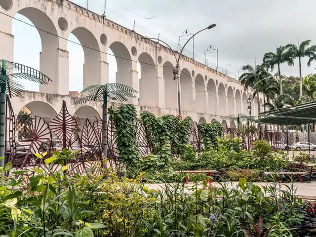 Plante Rio na Fundado Progresso