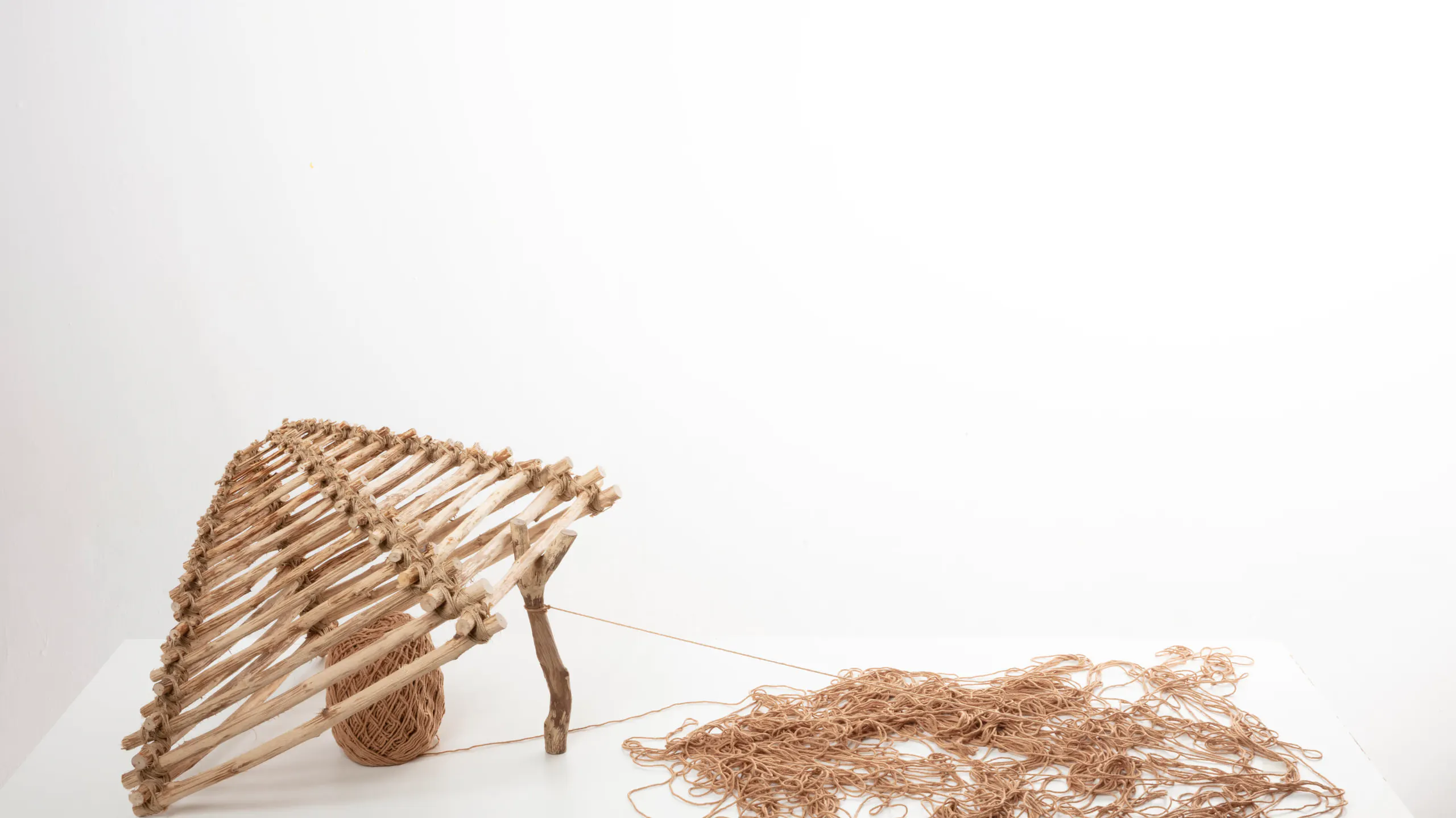 Exposição ''Arapuca''