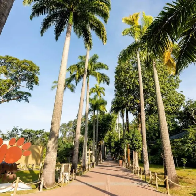 Programação Especial de Natal no BioParque do Rio