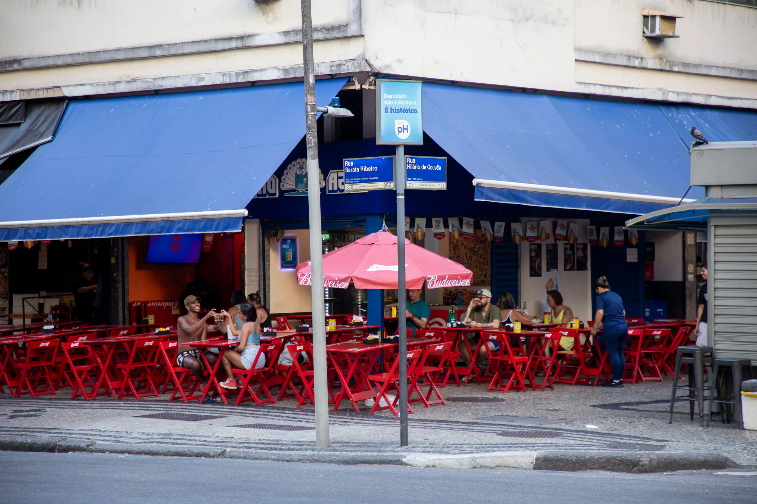 Pavão Azul — photo 3