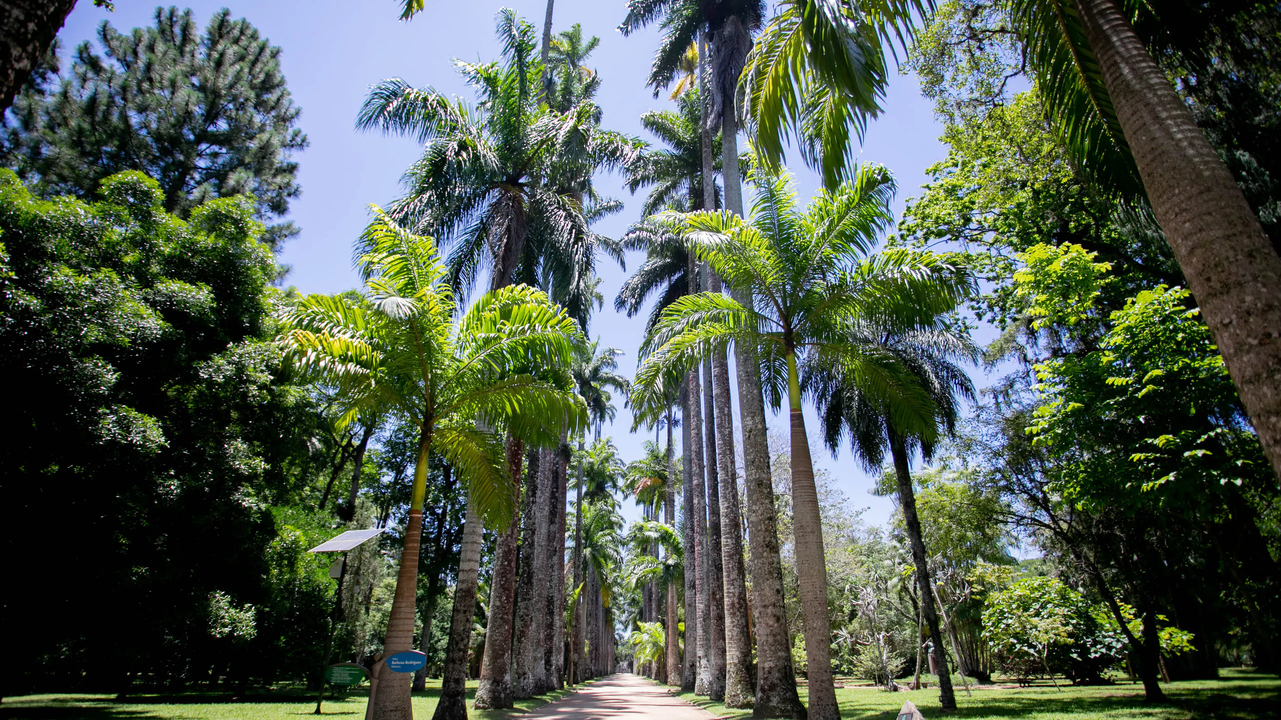6 Jardim Botânico