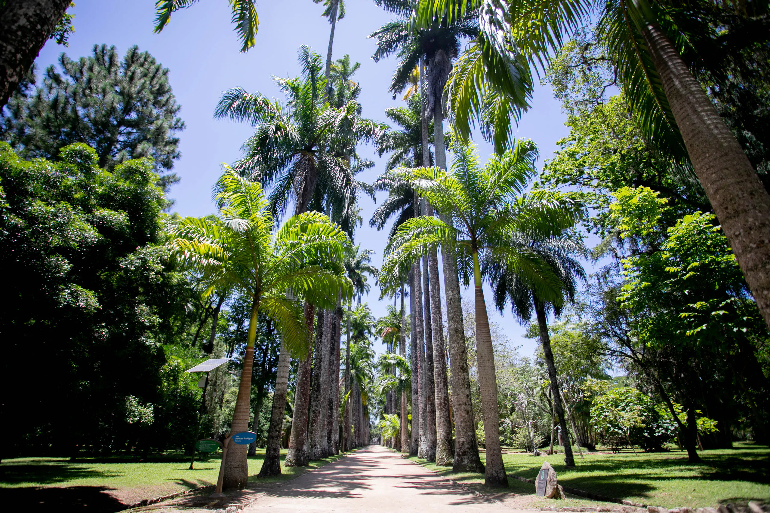 6个Jardim Botânico
