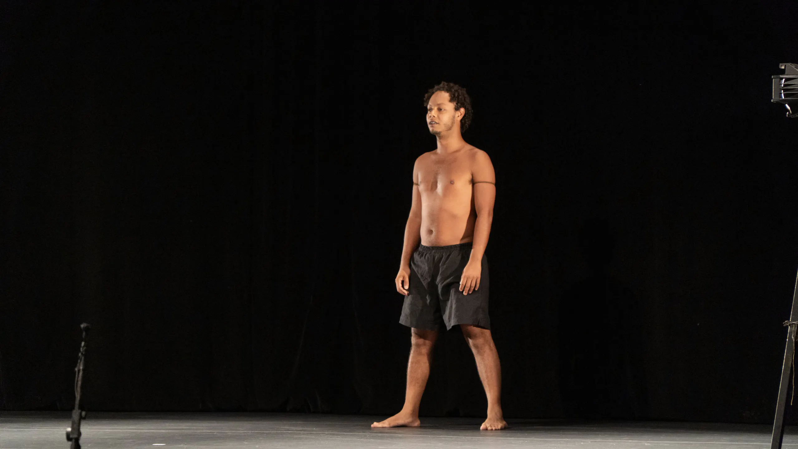 Macacos al Adolpho Bloch Theatre