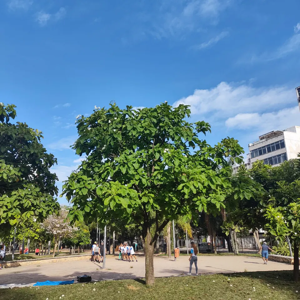 Praça Nossa Senhora da Paz