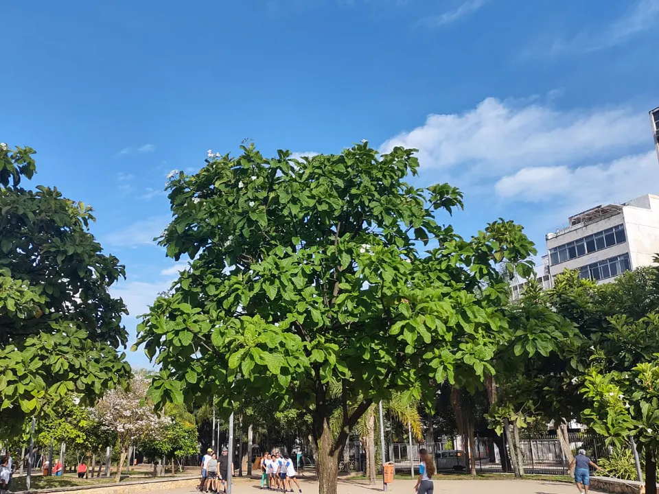 Praça Nossa Senhora da Paz