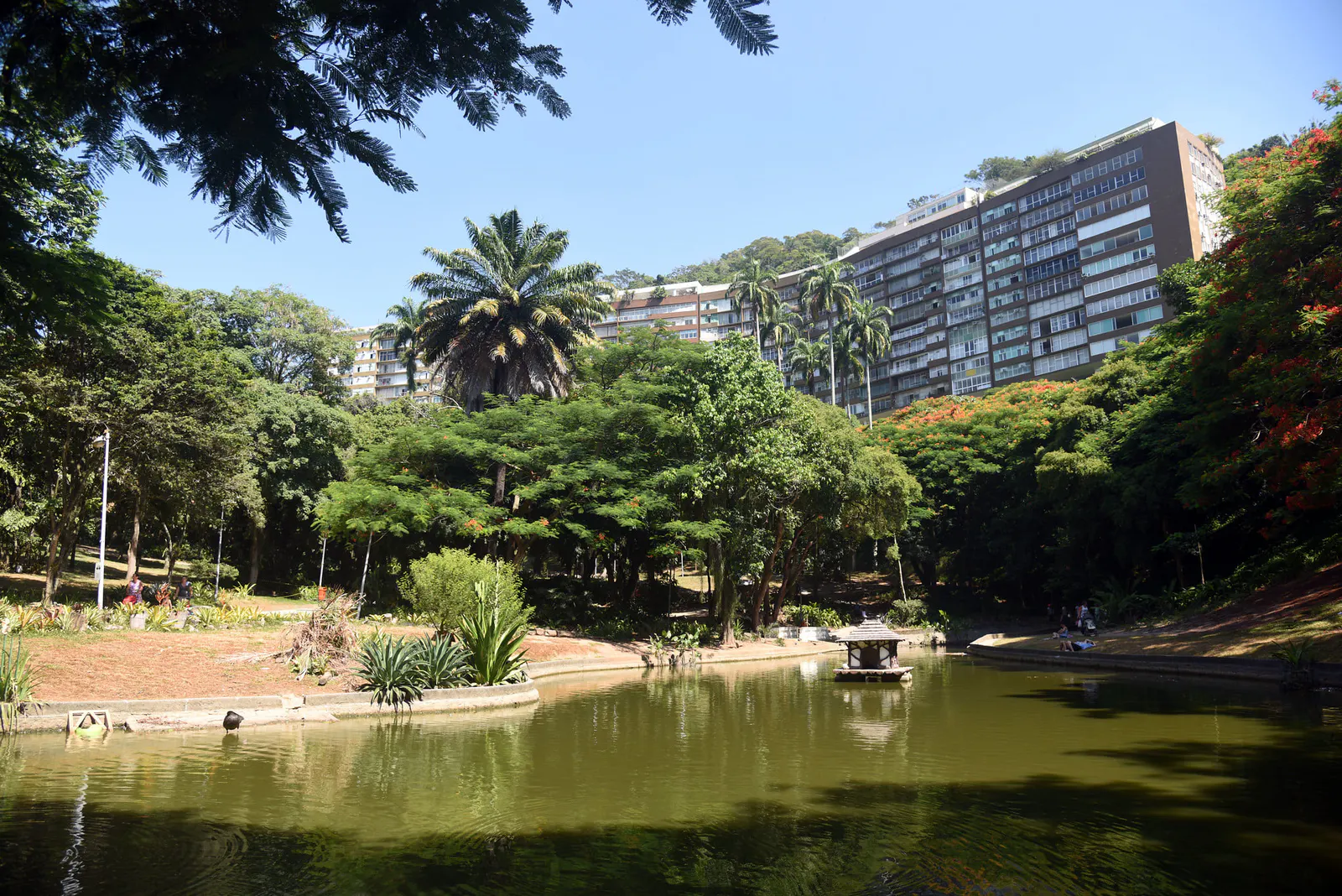 Parque Eduardo Guinle - Laranjeiras - Foto Alexandre Macieira Riotur (2)