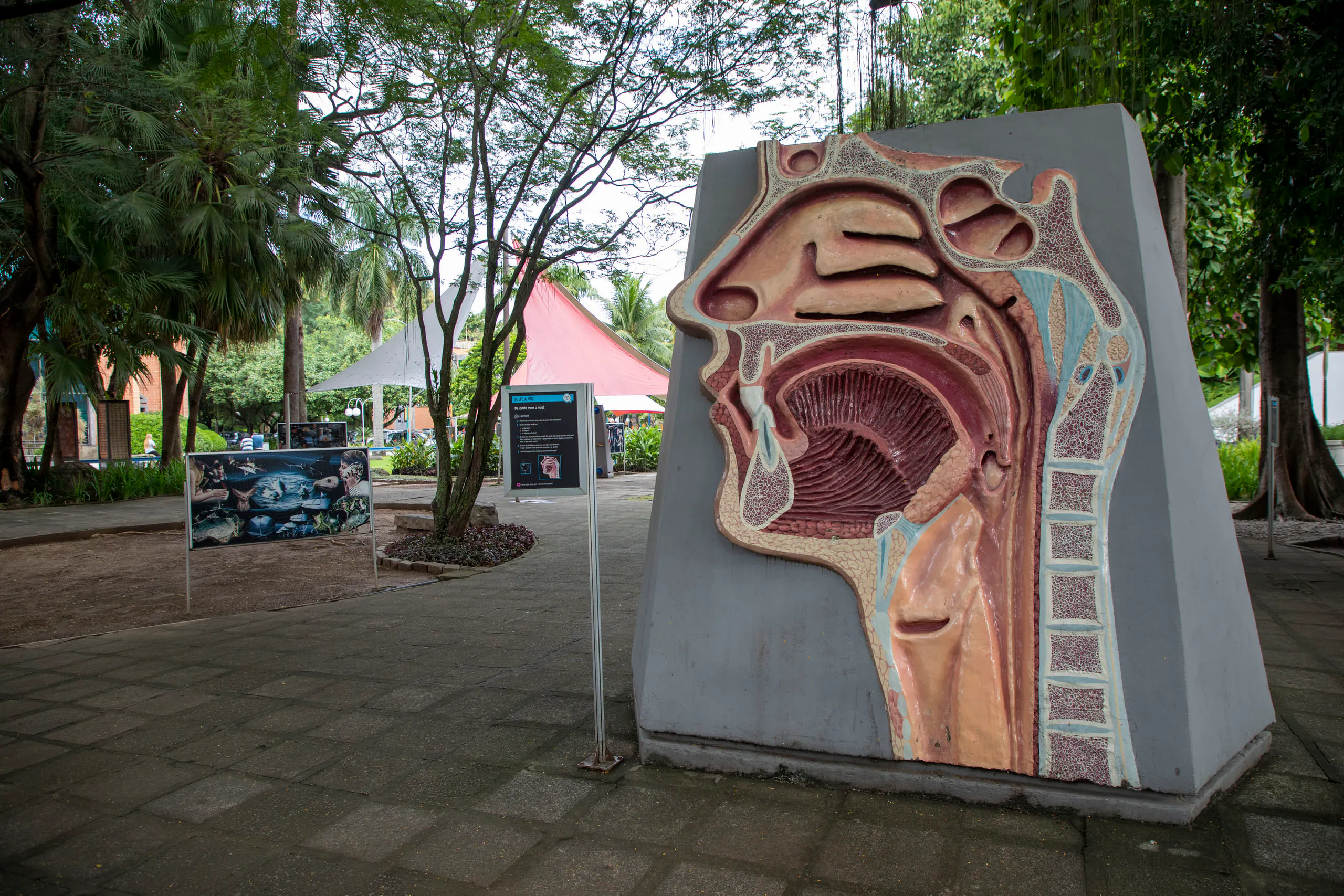 Museo de la Vida Fiocruz — foto 5