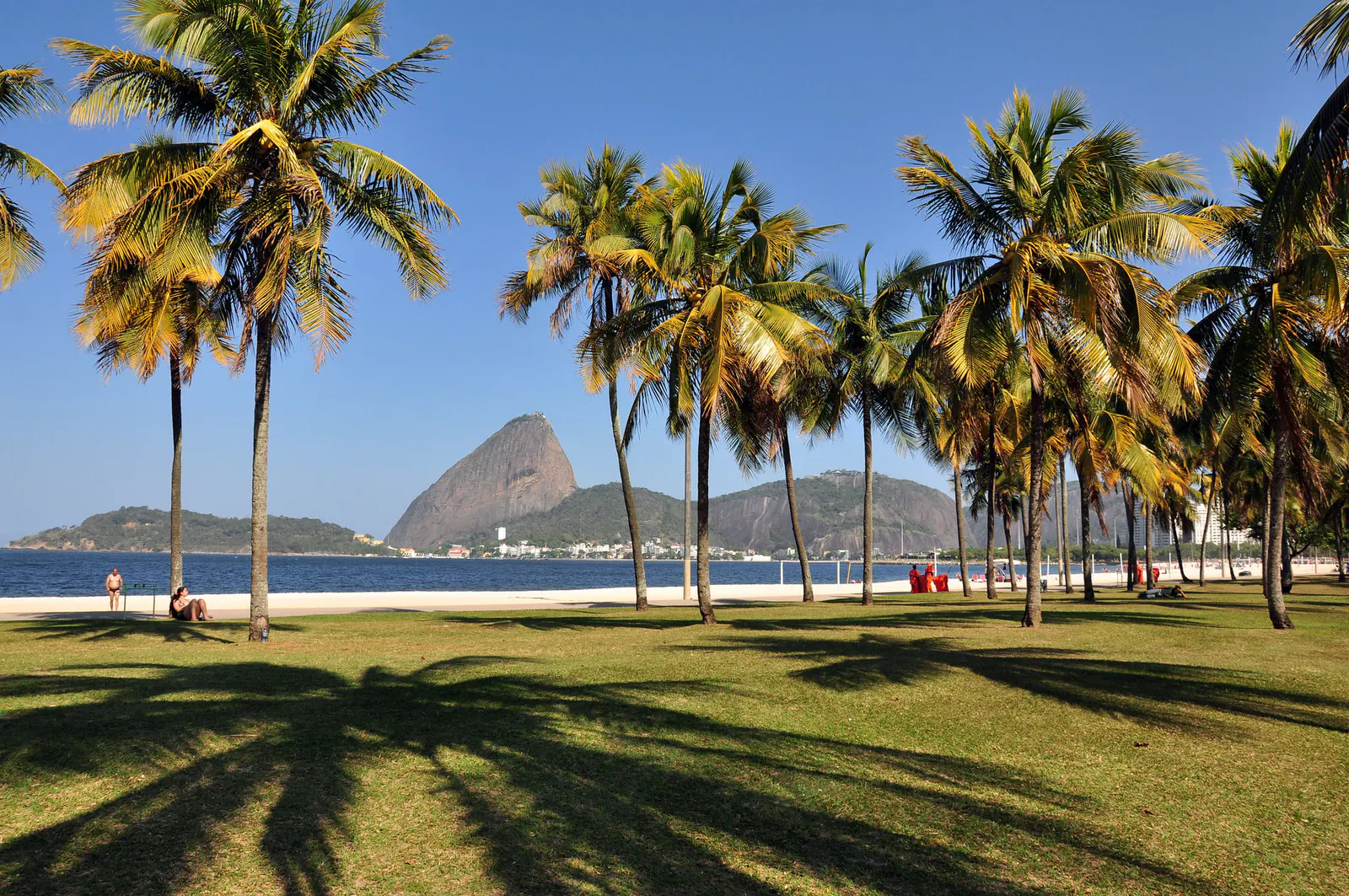 Flamengo Park — Foto 12