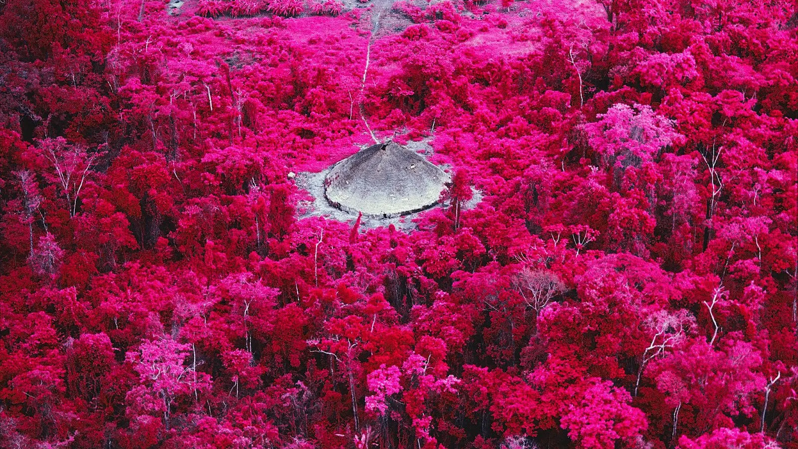Claudia Andujar and its world - Sustainability, Science and Spirituality in Museu do Amanhã