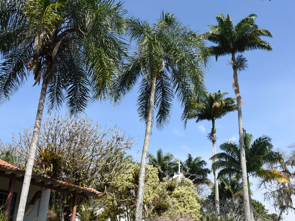Barra de Guaratiba - foto 8