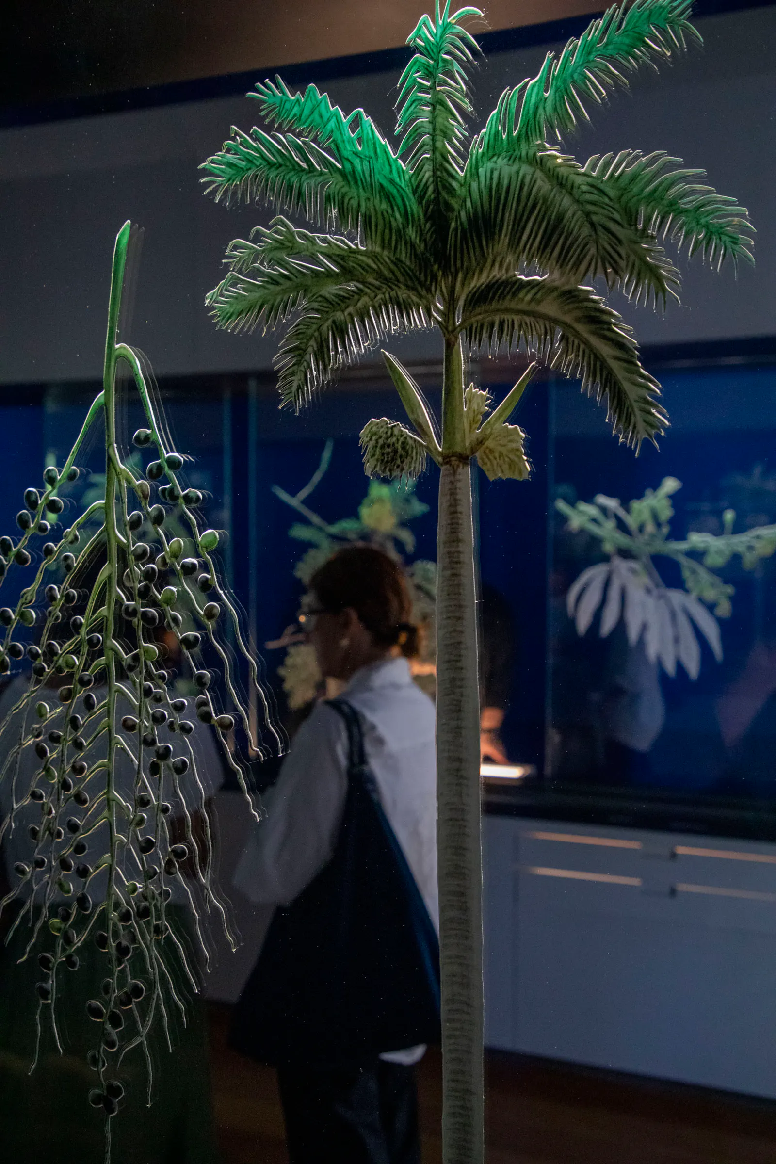 Museo Botanico Giardino © Alexandre Macieira (145)