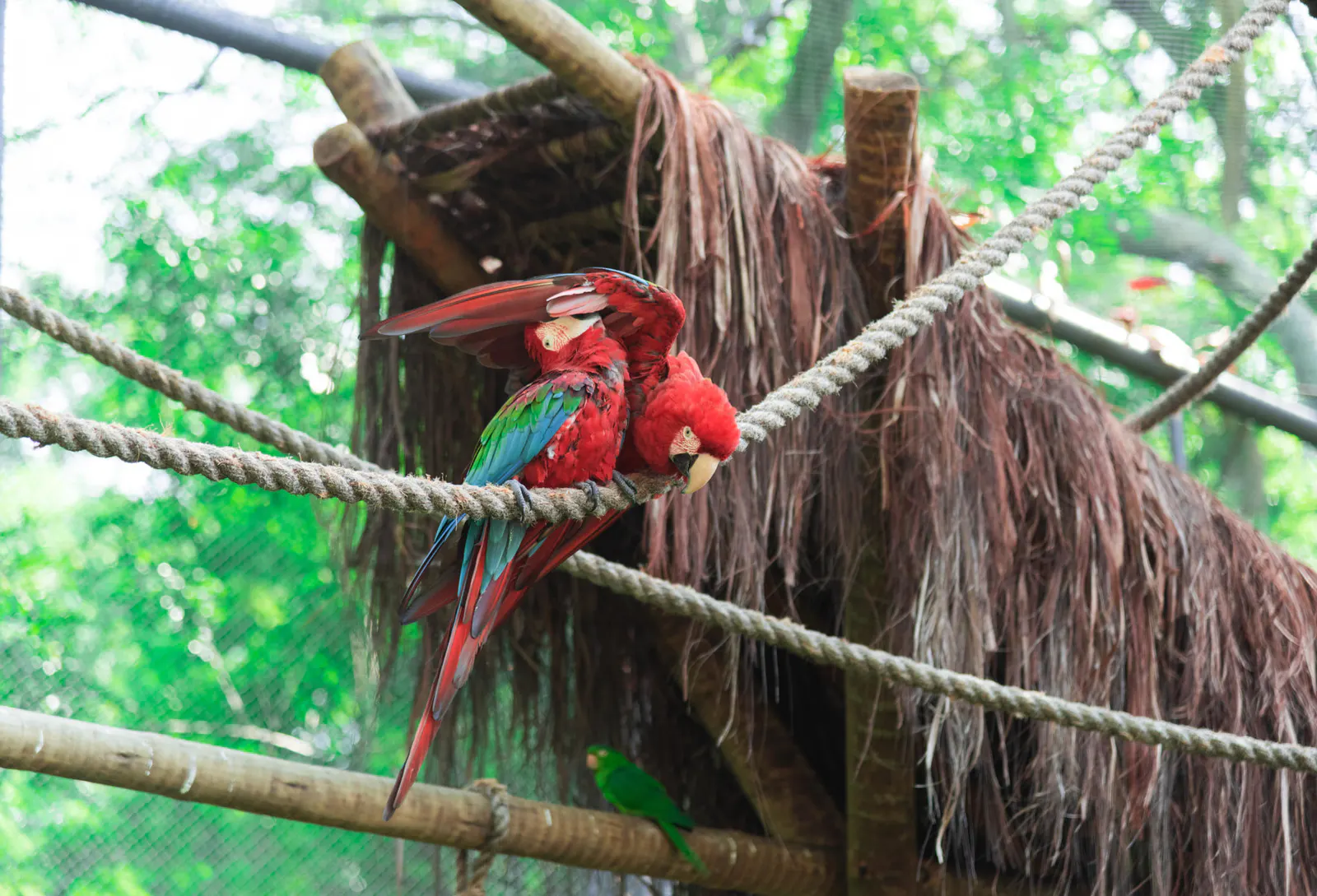 Rio Biopark — Foto 6