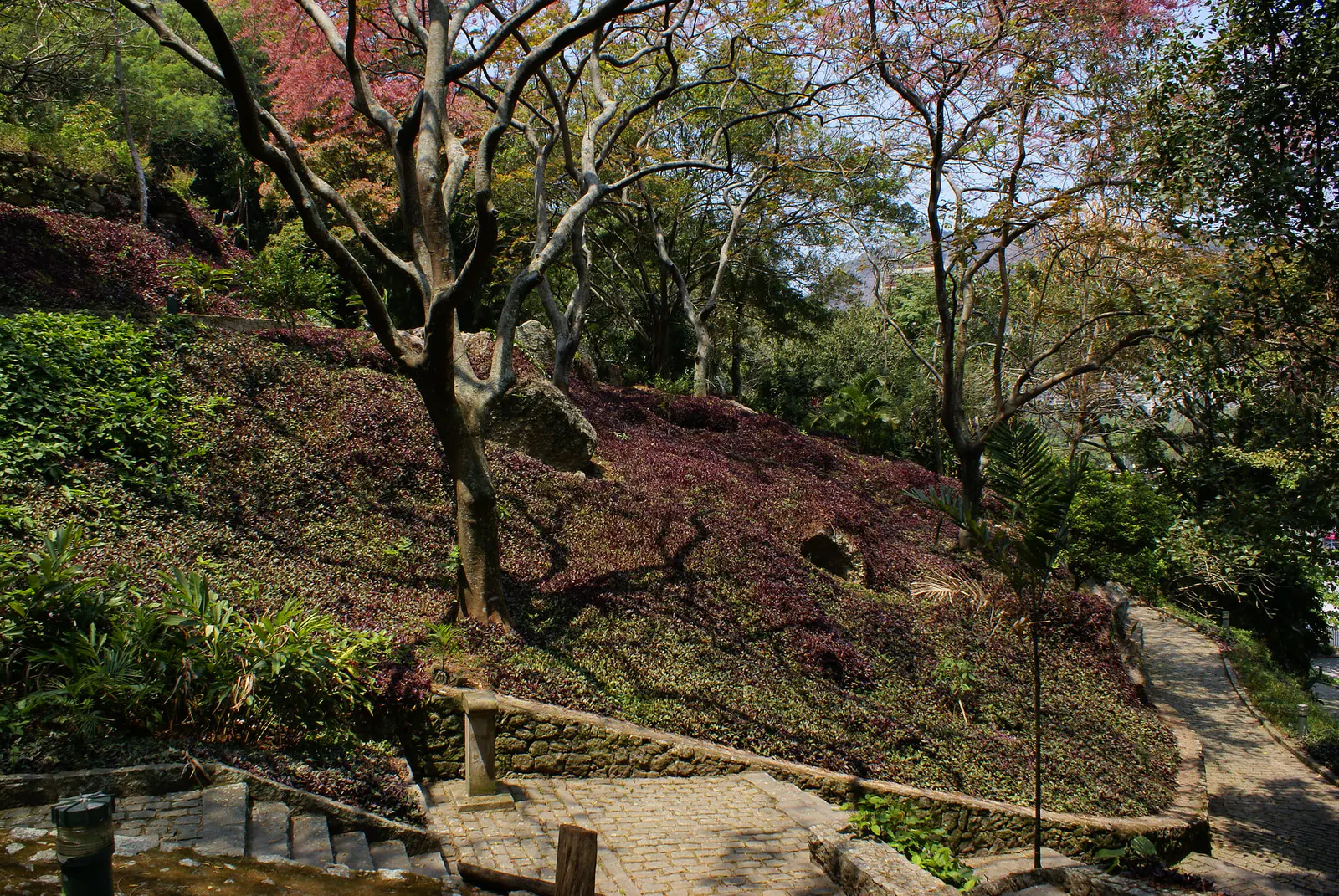 Rio Parks and Trails — photo 6