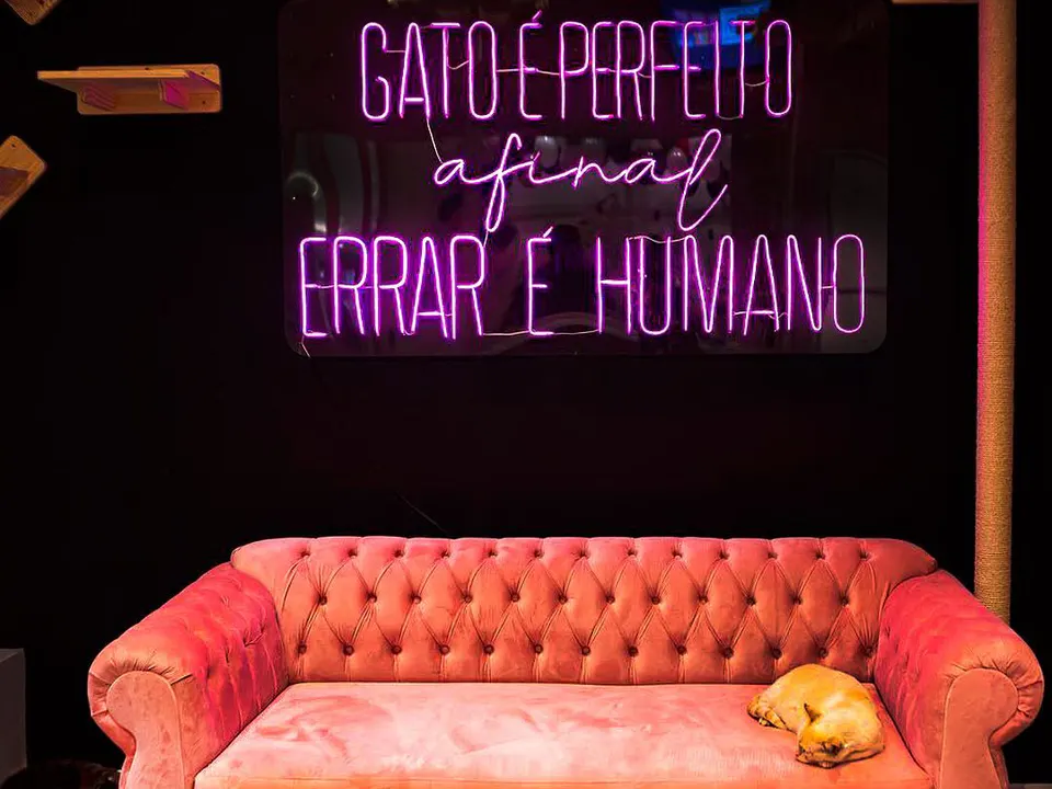 Gato Café — foto 3