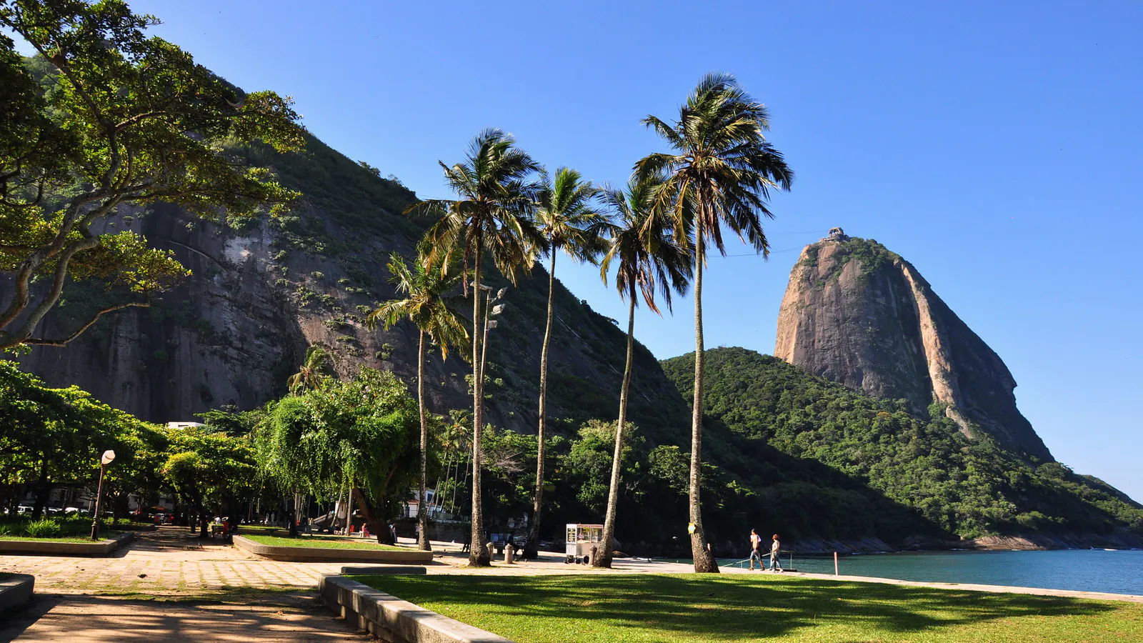 Urca
