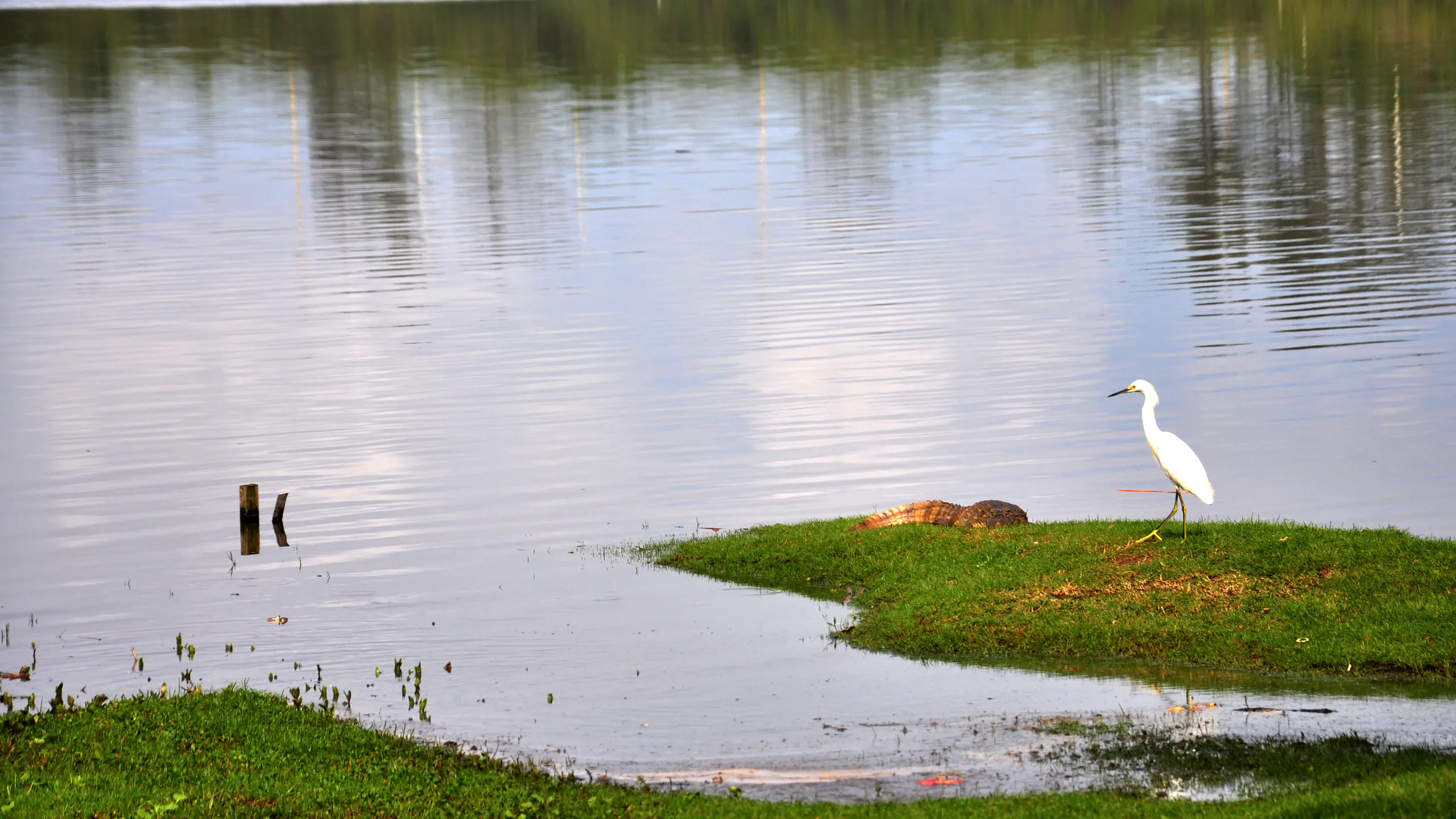 Parque Natural Municipal de Marapendi