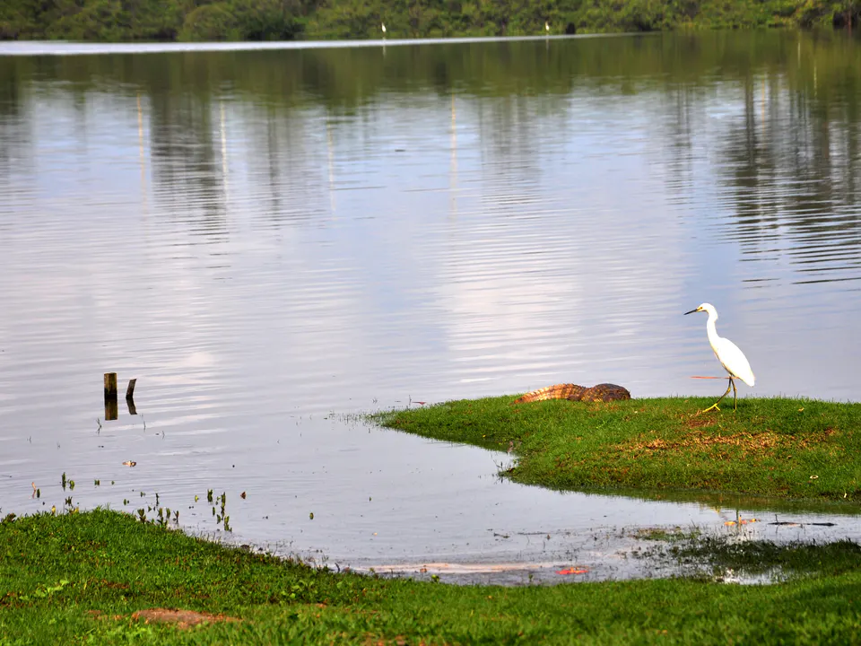 Parc naturel municipal de Marapendi