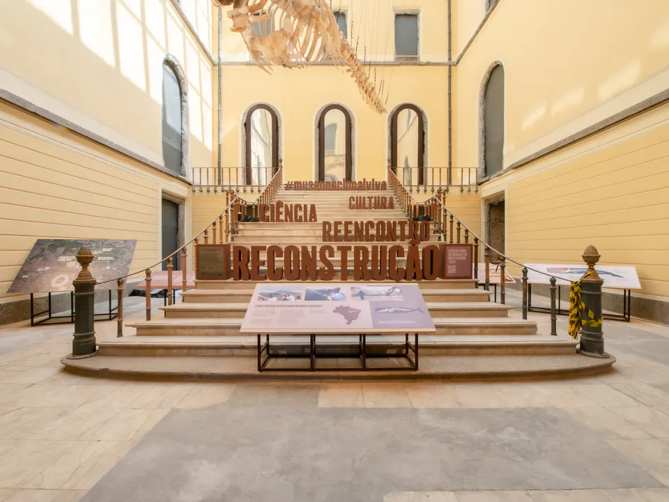 Museo Nazionale parzialmente riapre e visualizza il meteore di Bendegó e lo scheletro di cachalote