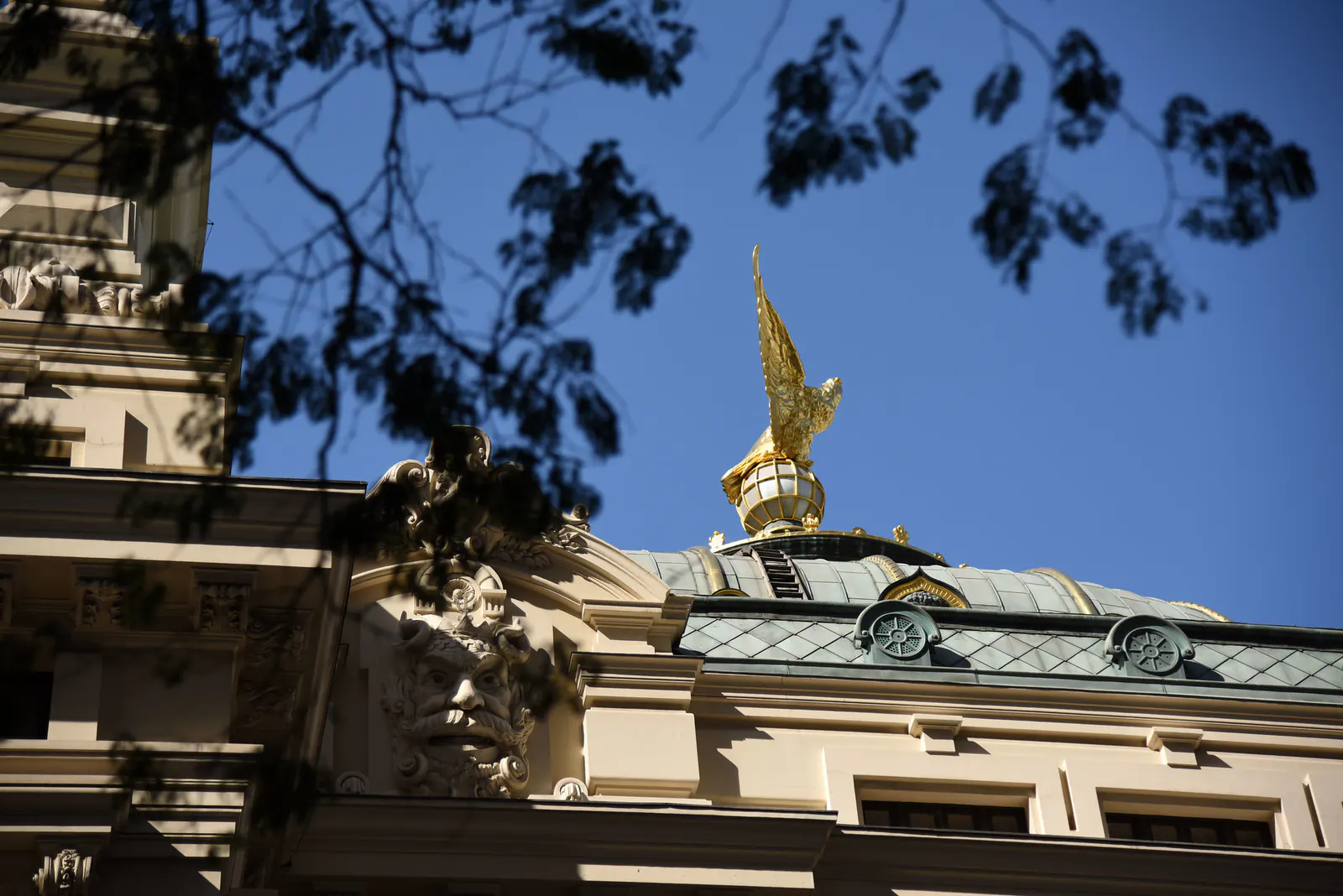 Theatro Municipal-相片5