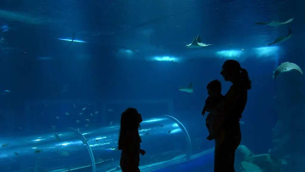 Santa Claus at the AquaRio