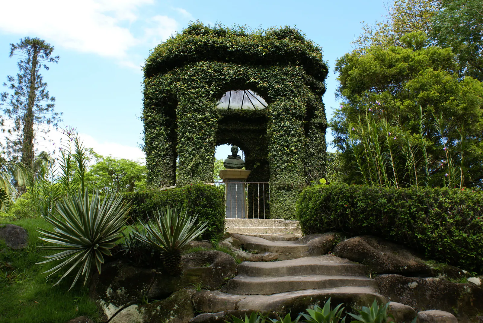 Jardim Botânico - photo 14