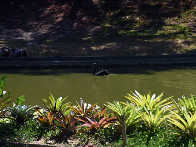 Parque Guinle — foto 5